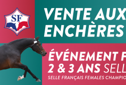 Ventes Pouliches SF - 2 & 3 ans