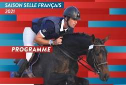 3 ans Sport - Studbook Selle Français