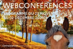 Webconférences IFCE