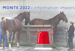 SIRE - Monte 2022