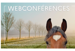 Webconférences IFCE