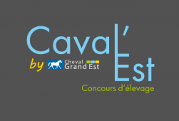 Caval'Est - Concours d'élevage by Cheval...