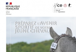 Recherche Chevaux/Poneys pour formation CS...