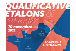 Qualificative Etalons SF