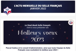 L'actu du SF | Janvier 2023