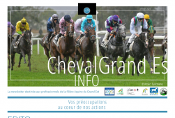 Cheval Info