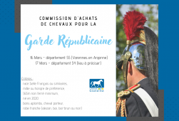 Commission d'achats de chevaux pour la Garde...