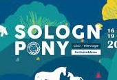 Sologn Pony 2023