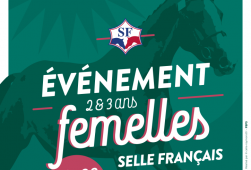 Evènement Femelles SF