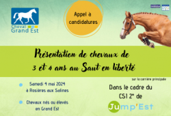 Présentation de chevaux de 3 et 4 ans - CSI...