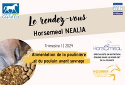 Le Rendez vous Horsemeal - 2024 | Trimestre 1