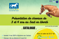 Présentation de chevaux de 3 et 4 ans - CSI...