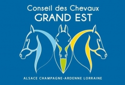 | Relai | CCGE - Cheval Info Grand Est