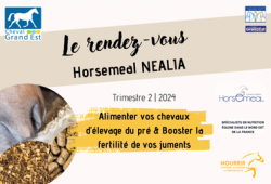 Le Rendez vous Horsemeal - 2024 | Trimestre 2