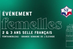 Evènement Femelles Selle Français