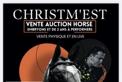 | Relai | Christm'Est Auction