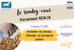 Le Rendez vous Horsemeal - 2024 | Trimestre 3