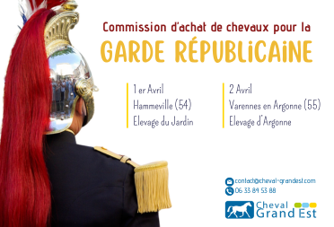 Commission d'achat de chevaux pour la Garde...