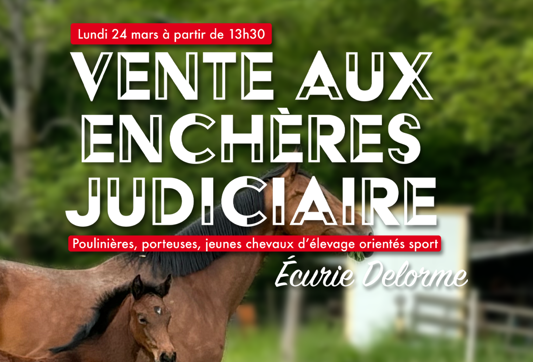 Vente aux enchères judiciaire - Ecurie Delorme